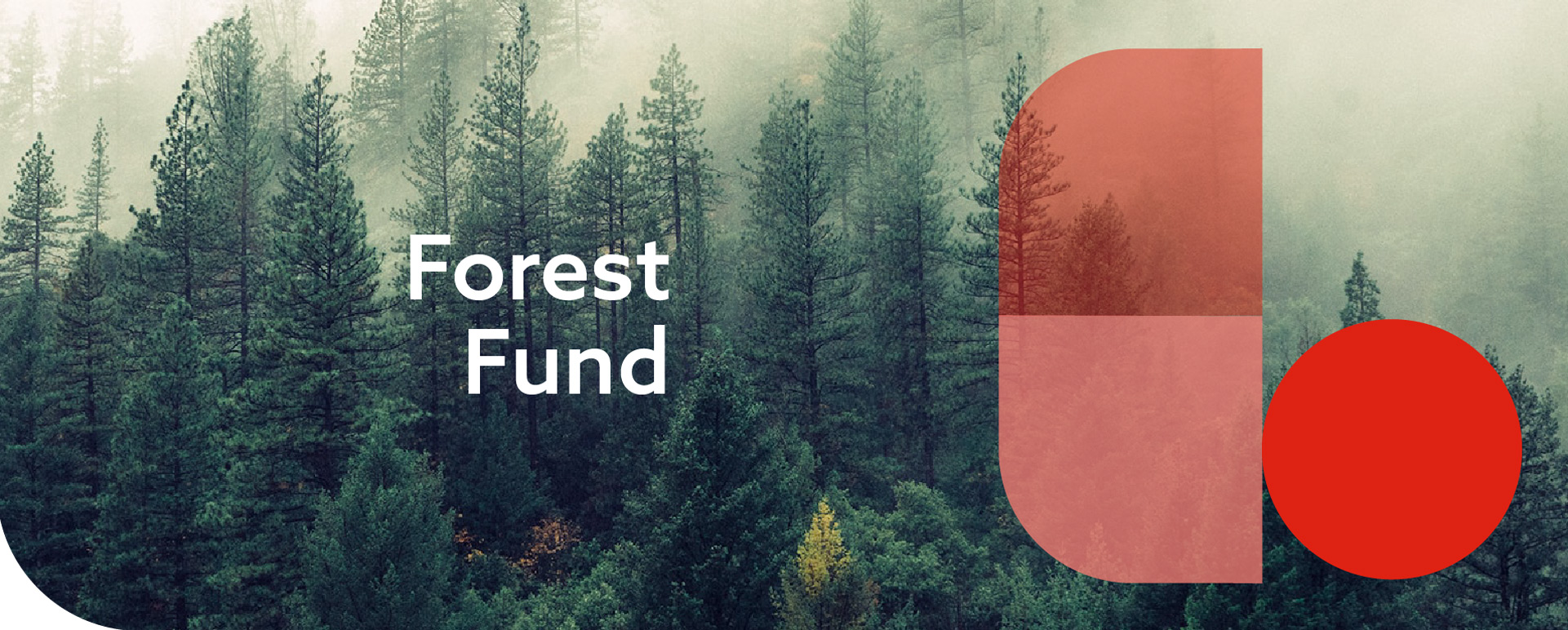 Forest Fund